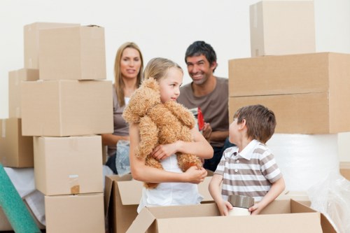 Risk assessment process for a professional man with van service
